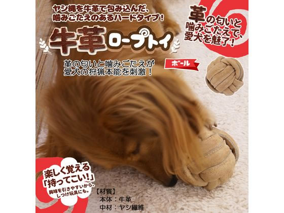�ڤ����󤻡ۥɥ����ޥ�ϥ䥷 ���ץ����ץȥ� �ܡ��� ��ư��� ������� �� �ɥå��� �ڥå� ������ ���襰�å� �ڥåȥϥ���