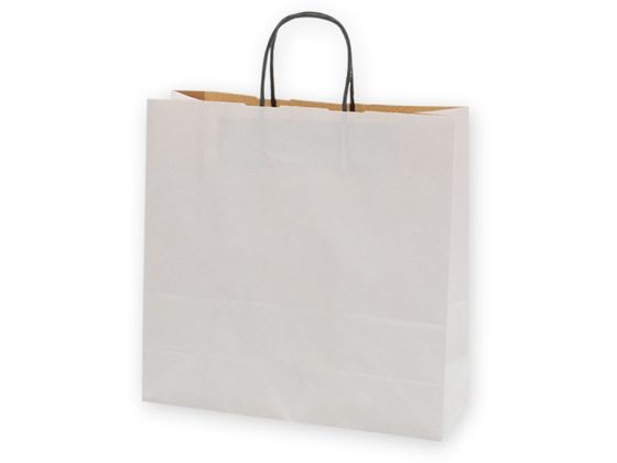 【お取り寄せ】ヘイコー 紙袋 25チャームバッグ 3才 エコデュオWH 50枚 003261496 紙手提袋 丸紐 手提袋 ラッピング 包装