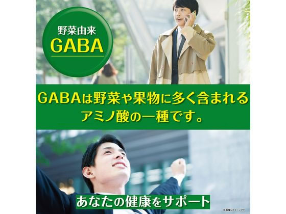 伊藤園 旬野菜 730g ペットボトル 野菜ジュース 飲料 ジュース