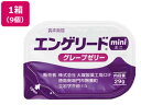 【お取り寄せ】大塚製薬 エンゲリード ミニ グレープ 29g×9個 介護食 介助