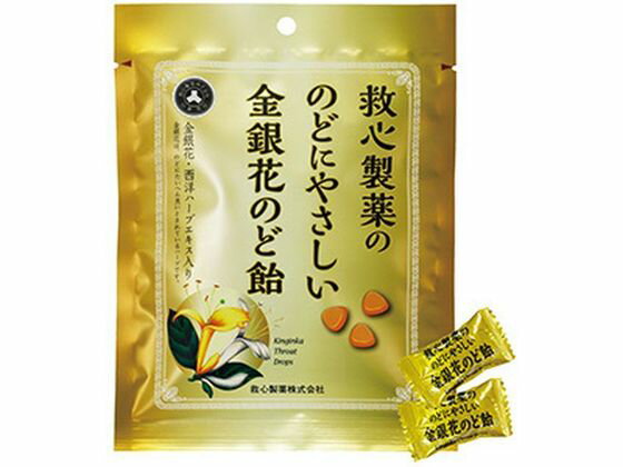 【本日楽天ポイント5倍相当!!】【送料無料】ノーベル製菓株式会社はちみつきんかんのど飴　スティックタイプ(10粒)×10個セット【△】