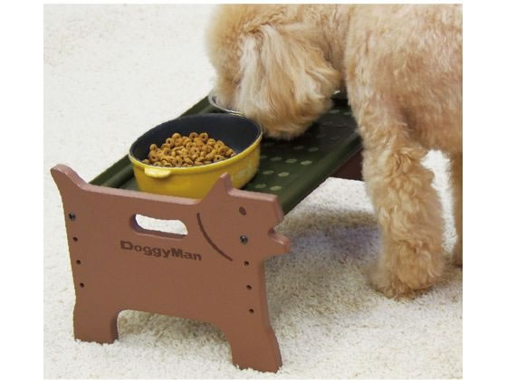 �ڤ����󤻡ۥɥ����ޥ�ϥ䥷 ������ ������ �ɥå������˥� M �� �ɥå��� �ڥå� ������ ���襰�å� �ڥåȥϥ���