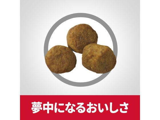 【お取り寄せ】日本ヒルズ サイエンス・ダイエット シニア 中粒 高齢犬用 3.3kg 日本ヒルズコルゲート プレミアムフード 犬 ペット ドッグフード