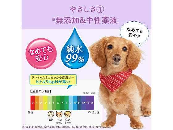 【お取り寄せ】大王製紙 キミおもい 肌にやさしいウエットティシュー 純水99% 70枚...