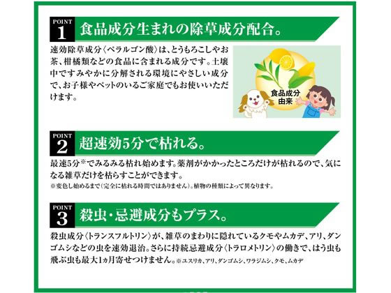 【お取り寄せ】フマキラー 虫よけ除草王 1000ml 殺虫剤 忌避剤 除草剤 園芸 ガーデニング