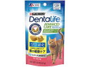 【お取り寄せ】ネスレ日本 デンタライフ キャットデンタルケアスナック サーモン 51g 12297342 おやつ 猫 ペット キャット
