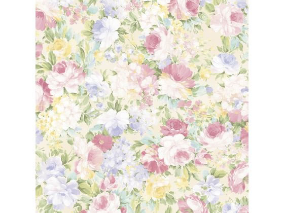 ڤ󤻡ۥ 10 ڱ ȾȽ 49-7557   åԥ