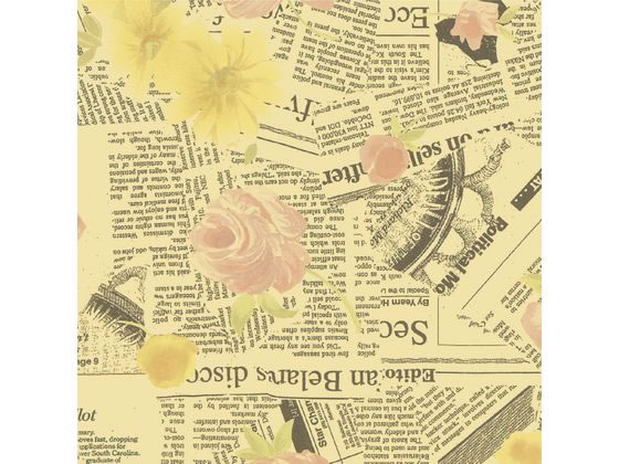 ڤ󤻡ۥ 10 ॺե ȾȽ 49-7569   åԥ