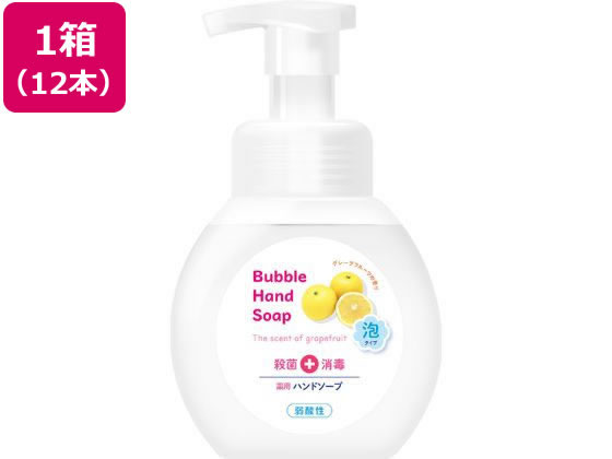 【お取り寄せ】第一石鹸 第一薬用泡ハンドソープ本体250mL 12本 泡ハンドソープ ハンドケア スキンケア