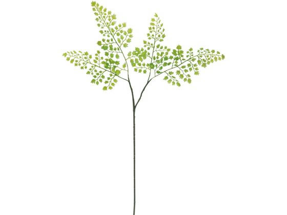 【お取り寄せ】YDM 造花 アジアンタムスプレー 葉もの グリーン 造花 花 フラワーアレンジメント ...