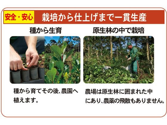 国太楼 ポット用 有機マテ茶 ティーバッグ 30P 健康補助食品 健康ドリンク 栄養補助食品 栄養ドリンク 健康食品 jetprice-10665065 JET PRICE サンプル画像3