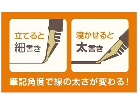 �����顼��ǯɮ �դ�DE�ޤ�ͤ�ѥå� �ѡ���ۥ磻�� 120150010 ����С������� ��ǯɮ ɮ�ڥ� �ǥ����ڥ� �¥ץ�