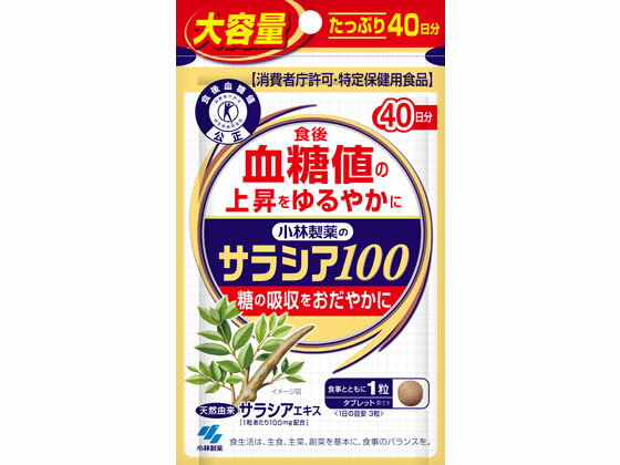 【お取り寄せ】小林製薬 小林サラシア100 40日分(120粒) サプリメント 健康食品