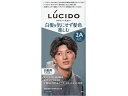 【お取り寄せ】マンダム ルシード デザインヘアカラー クールアッシュ 2A 白髪用 男性 ヘアカラー ヘアケア