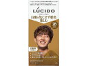 【お取り寄せ】マンダム ルシード デザインヘアカラー モダンブラウン 2B 白髪用 男性 ヘアカラー ヘアケア