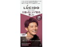 【お取り寄せ】マンダム ルシード デザインヘアカラー ボルドーブラウン 2R 白髪用 男性 ヘアカラー ヘアケア