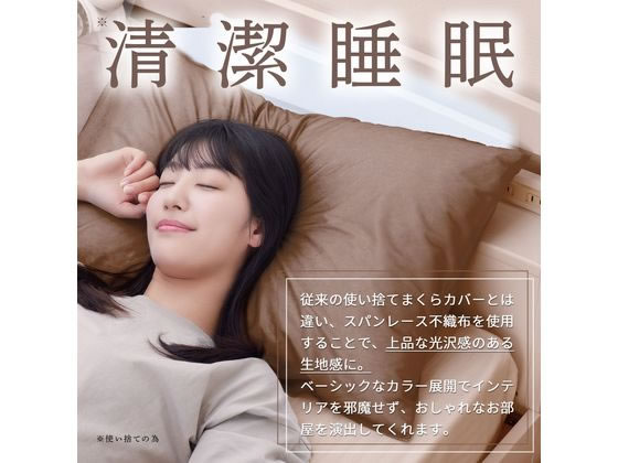 医食同源 Nanoni スパンまくらカバー ホ...の紹介画像3
