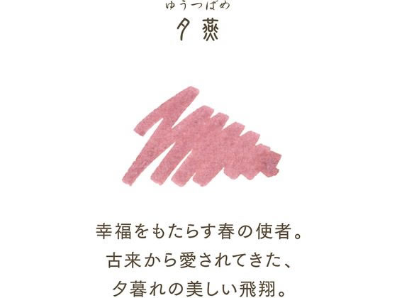 Foto de Shikiori