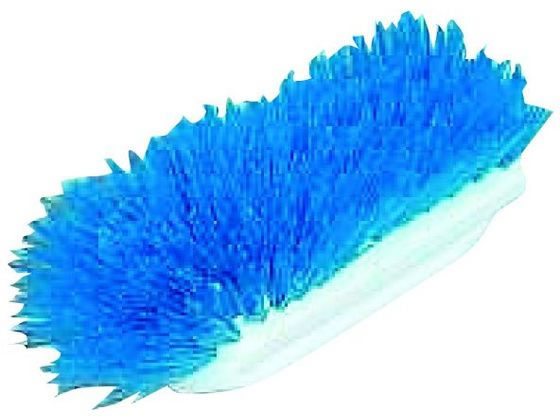 【お取り寄せ】マルテー東北石橋 ハンドブラシB 380162 タワシ ブラシ 清掃 衛生 水廻り 厨房 キッチン