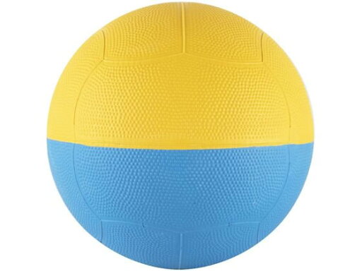【お取り寄せ】エバニュー ライトドッジボール EKD445 トレーニング器具 スポーツケア 競技備品 スポーツ 【お取り寄せ】エバニュー ライトドッジボール EKD445 トレーニング器具 スポーツケア 競技備品 スポーツ