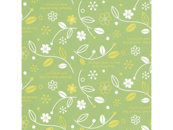 【お取り寄せ】ヘイコー 包装紙 半才 エスペランス LG 50枚 002410910 包装紙 包装 ラッピング