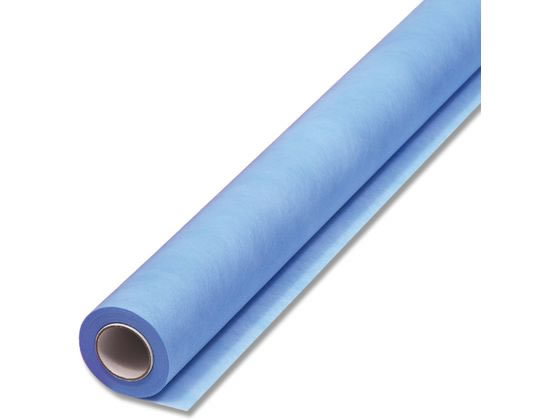 �ڤ����󤻡ۥإ����� �ե���åԥ󥰥����� F��å� NO.79 �������֥롼 1�� ������ ���� ��åԥ�