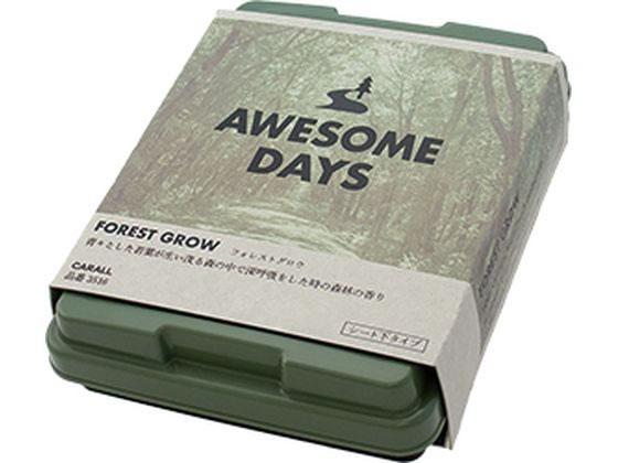 【お取り寄せ】晴香堂 オーサムデイズ ボックス フォレストグロウ 3516 芳香 消臭 カー
