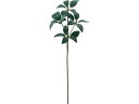 【お取り寄せ】YDM シキビS グリーン FG-5325GR