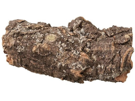 【お取り寄せ】東京堂 コルクディスプレイ大 500g/DC000040 フラワーアレンジメント道具 花器 花資材 ..