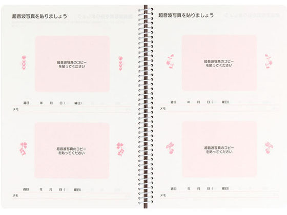 ミドリ HF ダイアリー〈A5〉 出産準備冊 26006006 用途別ノート 3