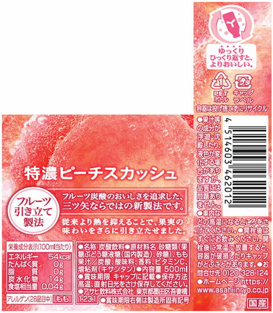 �����Ұ��� ��������ǻ�ԡ��������å��� 500mL �̼� �ե롼�� ú������ ���� ���塼��