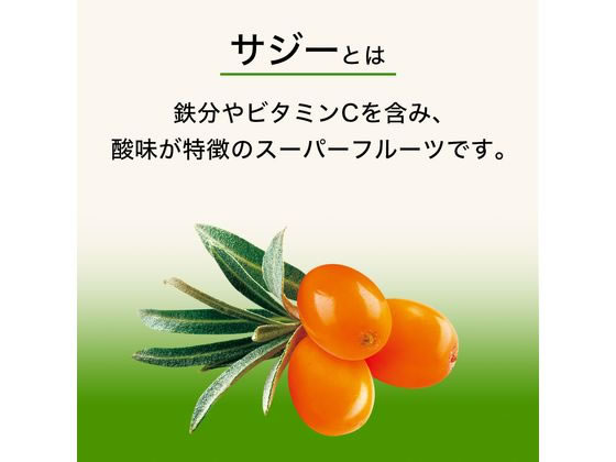 伊藤園 アップル・マンゴー サジーmix 紙パック 200mL×24本 健康補助食品 健康ドリンク 栄養補助食品 栄養ドリンク 健康食品 jetprice-10692647 JET PRICE サンプル画像3