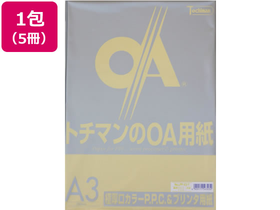 訳あり)SAKAEテクニカルペーパー 極厚口カラーPPC A3イエロー50枚×5 A3サイズ イエロー系 黄 カラーコピー用紙