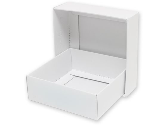 ڤ󤻡ۥإ ̵Ȣ H-66 Ω 10 006836600 եȥܥå   åԥ