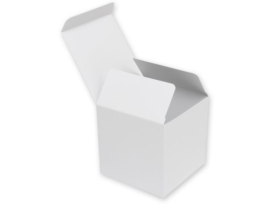 ڤ󤻡ۥإ ̵Ȣ H-79 å 10 006837900 եȥܥå   åԥ