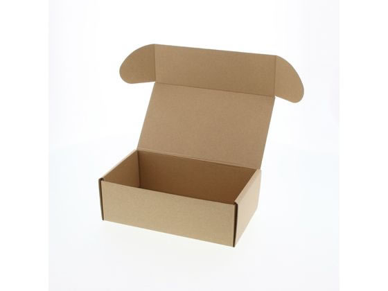 �ڤ����󤻡ۥإ����� �ʥ�����ܥå��� Z-11 ̵�� 10�� 006201110 ���եȥܥå��� ������ ���� ��åԥ�