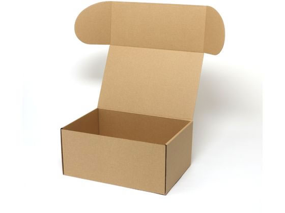 �ڤ����󤻡ۥإ����� �ʥ�����ܥå��� Z-18 ̵�� 10�� 006201810 ���եȥܥå��� ������ ���� ��åԥ�