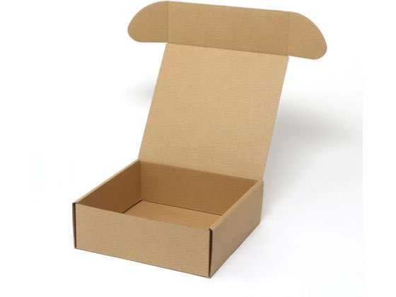 �ڤ����󤻡ۥإ����� �ʥ�����ܥå��� Z-19 ̵�� 10�� 006201910 ���եȥܥå��� ������ ���� ��åԥ�