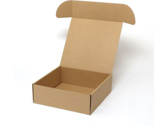 �ڤ����󤻡ۥإ����� �ʥ�����ܥå��� Z-22 �ץ졼��6���� ̵�� 10�� ���եȥܥå��� ������ ���� ��åԥ�