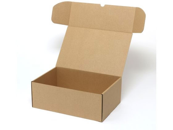 �ڤ����󤻡ۥإ����� �ʥ�����ܥå��� Z-30 �ӥǥ�10�ܼ�Ǽ ̵�� 10�� ���եȥܥå��� ������ ���� ��åԥ�