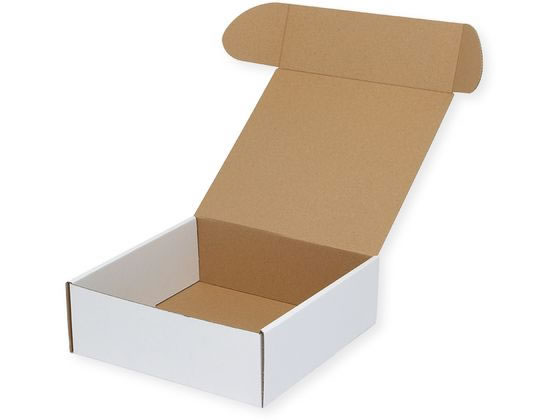 �ڤ����󤻡ۥإ����� �ե꡼�ܥå��� F-19 ��̵�� 10�� 006205019 ���եȥܥå��� ������ ���� ��åԥ�