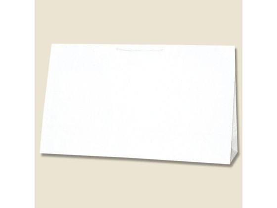 �ڤ����󤻡ۥإ����� ���󤲻��� �������㡼��Хå� BR-2 ��̵�� 10�� ������� ��ɳ ������ ��åԥ� ����