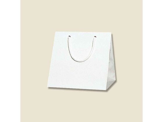 �ڤ����󤻡ۥإ����� ���󤲻��� �֥饤�ȥХå� C2 �� 10�� 006459600 ������� ��ɳ ������ ��åԥ� ����