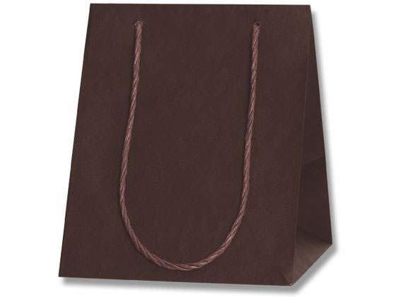 【お取り寄せ】ヘイコー 手提げ紙袋 カラーアレンジバッグ 3S 焦茶 10枚 紙手提袋 丸紐 手提袋 ラッピング 包装