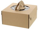 【お取り寄せ】ヘイコー ネオクラフト キャリーデコBOX L 10枚 004248066