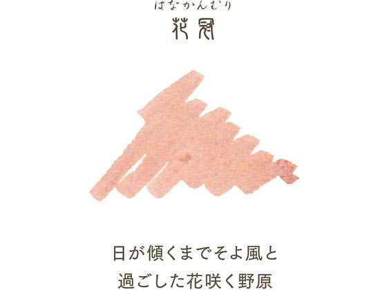 Photo de SHIKIORI Ink Cartridge For Fountain Pens, 8 cartridges New Package