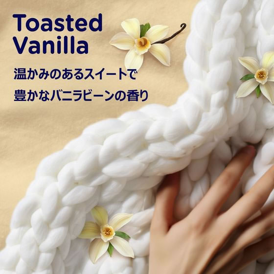 ダウニー ブレンズ 柔軟剤ビーズ バニラの香り 235g 柔軟剤 衣料用洗剤 洗剤 清掃