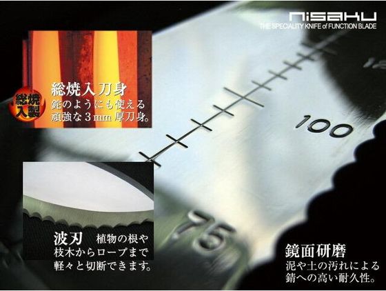 �ڤ����󤻡����Ŀ�ʪ �κ�쥸�㡼�ʥ��� �١����å� ����ѥʥ��� No.6500 ���ڤ� ���ڤ� ���� ���� ���Ȼ�� ������� ������� ����