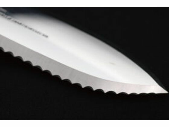 �ڤ����󤻡����Ŀ�ʪ �κ�쥸�㡼�ʥ��� �������ۥ륹���� No.6510 ���ڤ� ���ڤ� ���� ���� ���Ȼ�� ������� ������� ����