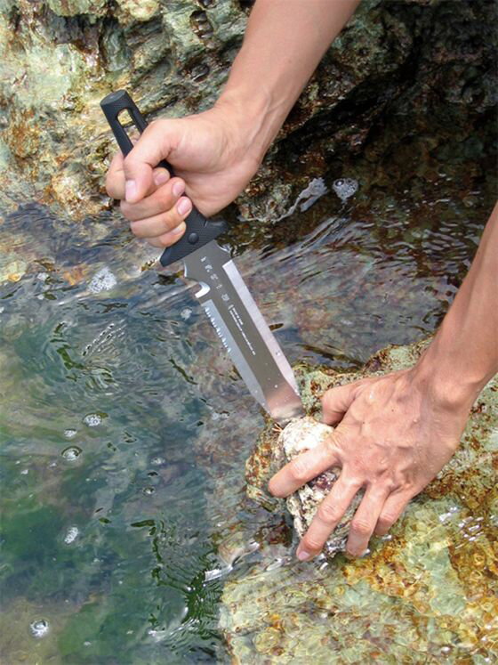 �ڤ����󤻡����Ŀ�ʪ �κ���� No.820 ���ڤ� ���ڤ� ���� ���� ���Ȼ�� ������� ������� ����